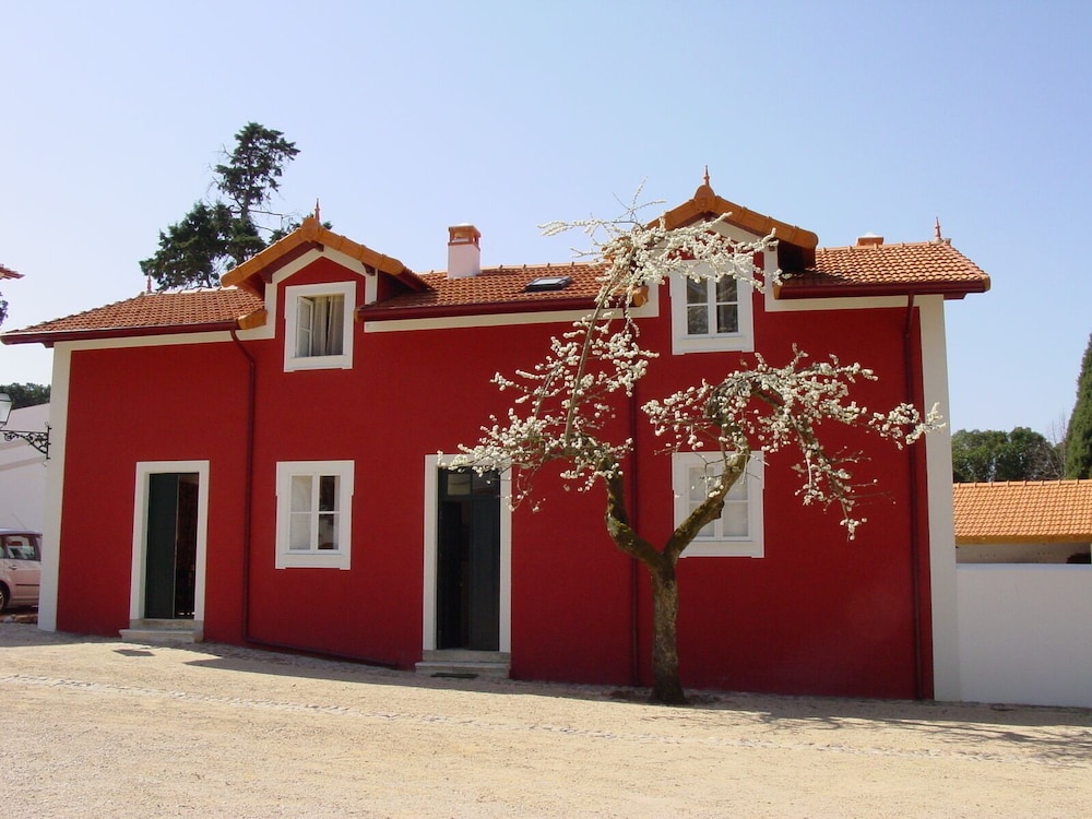 Casa de Mogofores 4/49