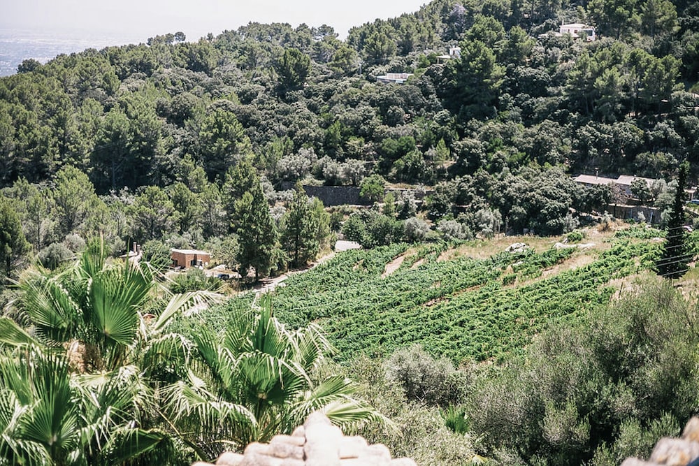 LA POSADA DEL MARQUES 43/50