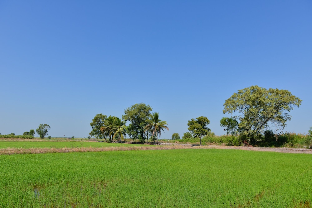 Sappaya Hotel by Lotus Valley Golf Resort 41/50