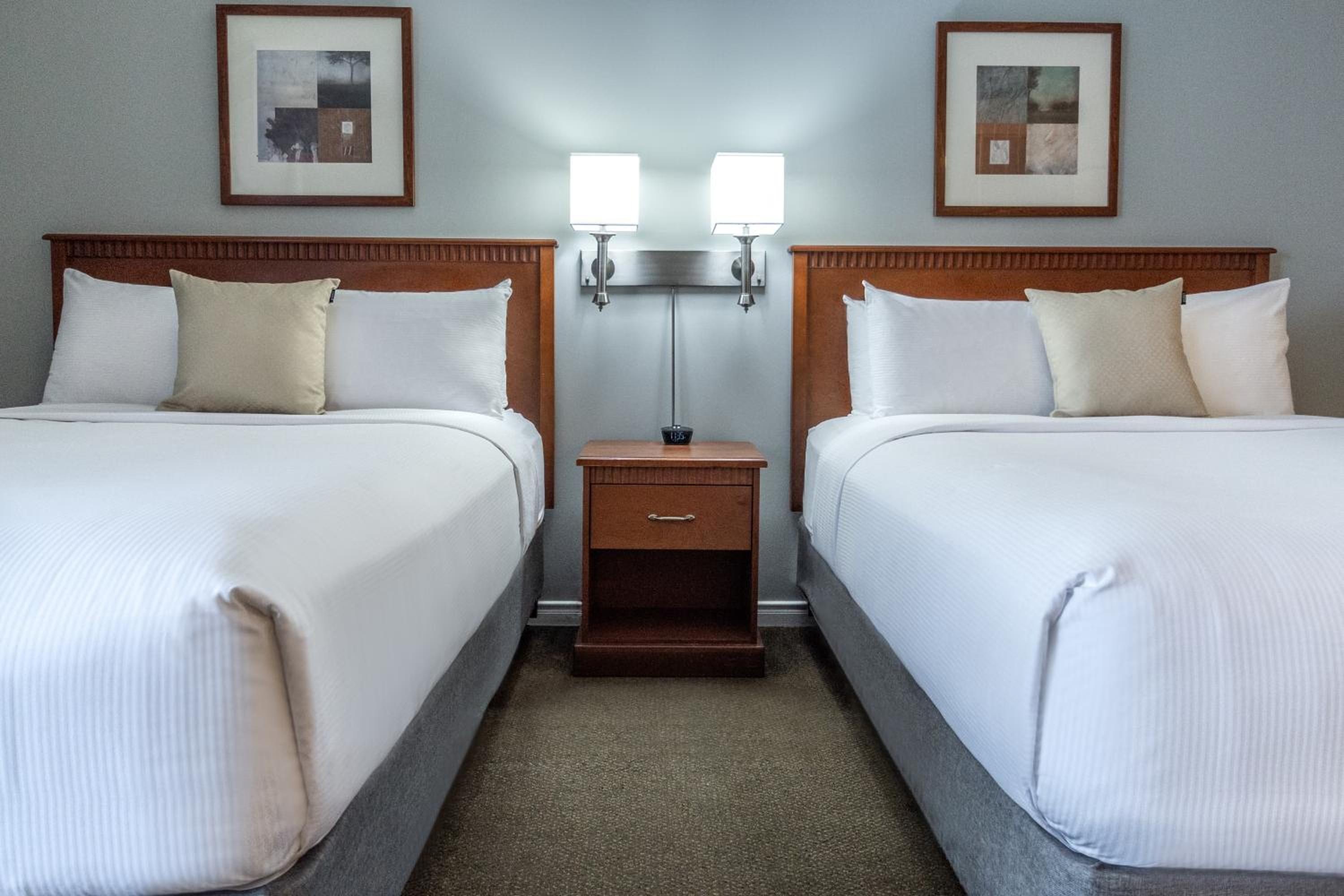 Studio, King Bed, 2 Queen Beds
