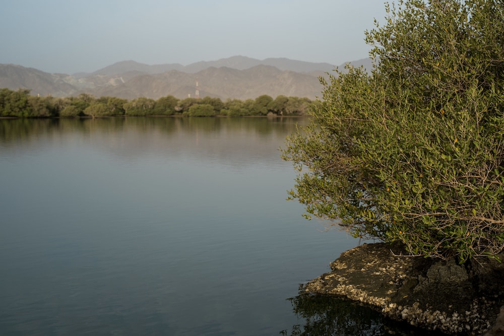 Kingfisher Sharjah Retreat 37/50