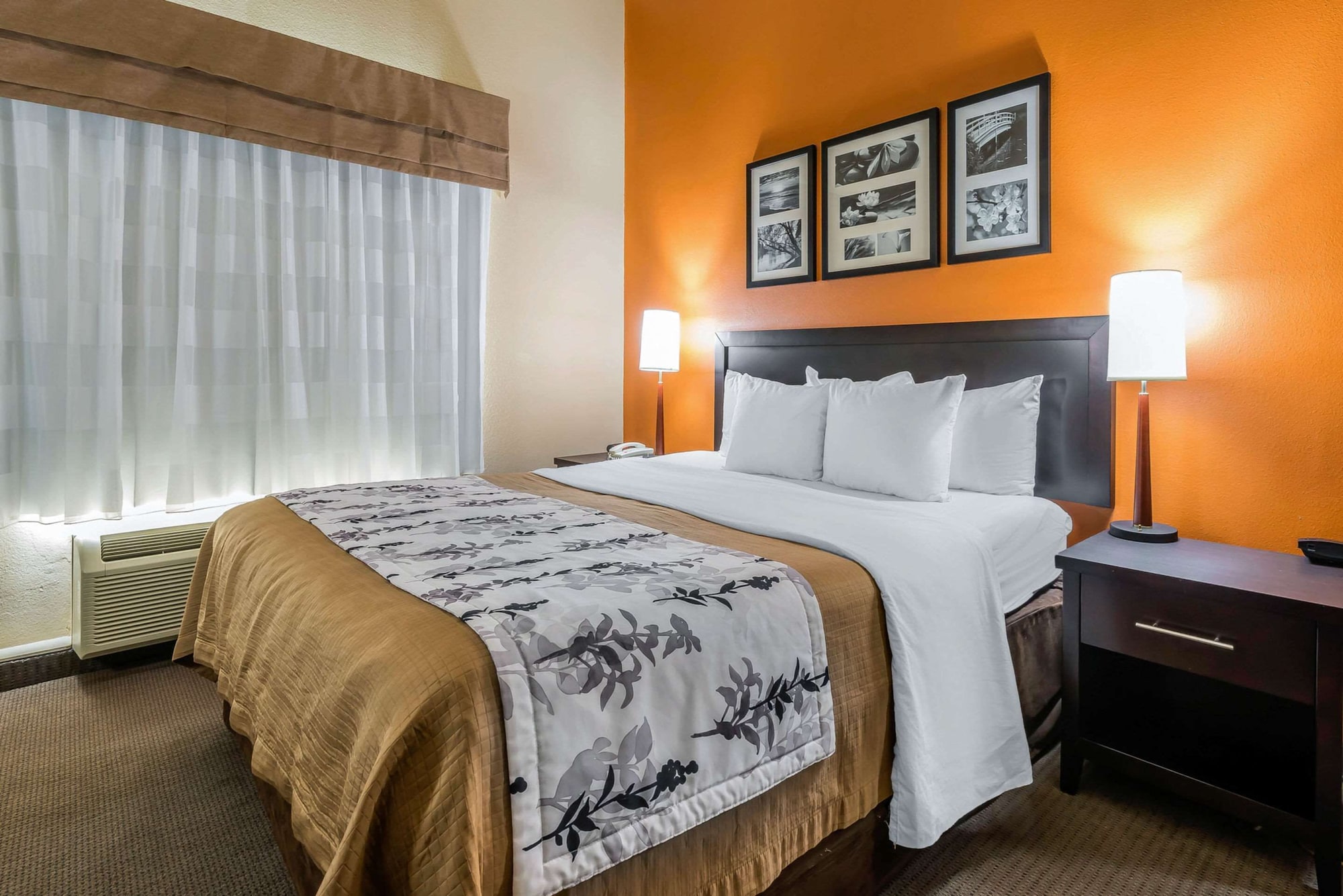 SUITE, KING BED, ACCESSIBLE