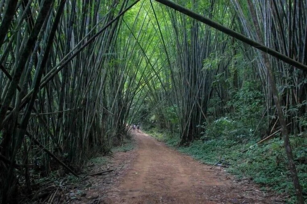 The Royal Bamboo Lodge 46/50