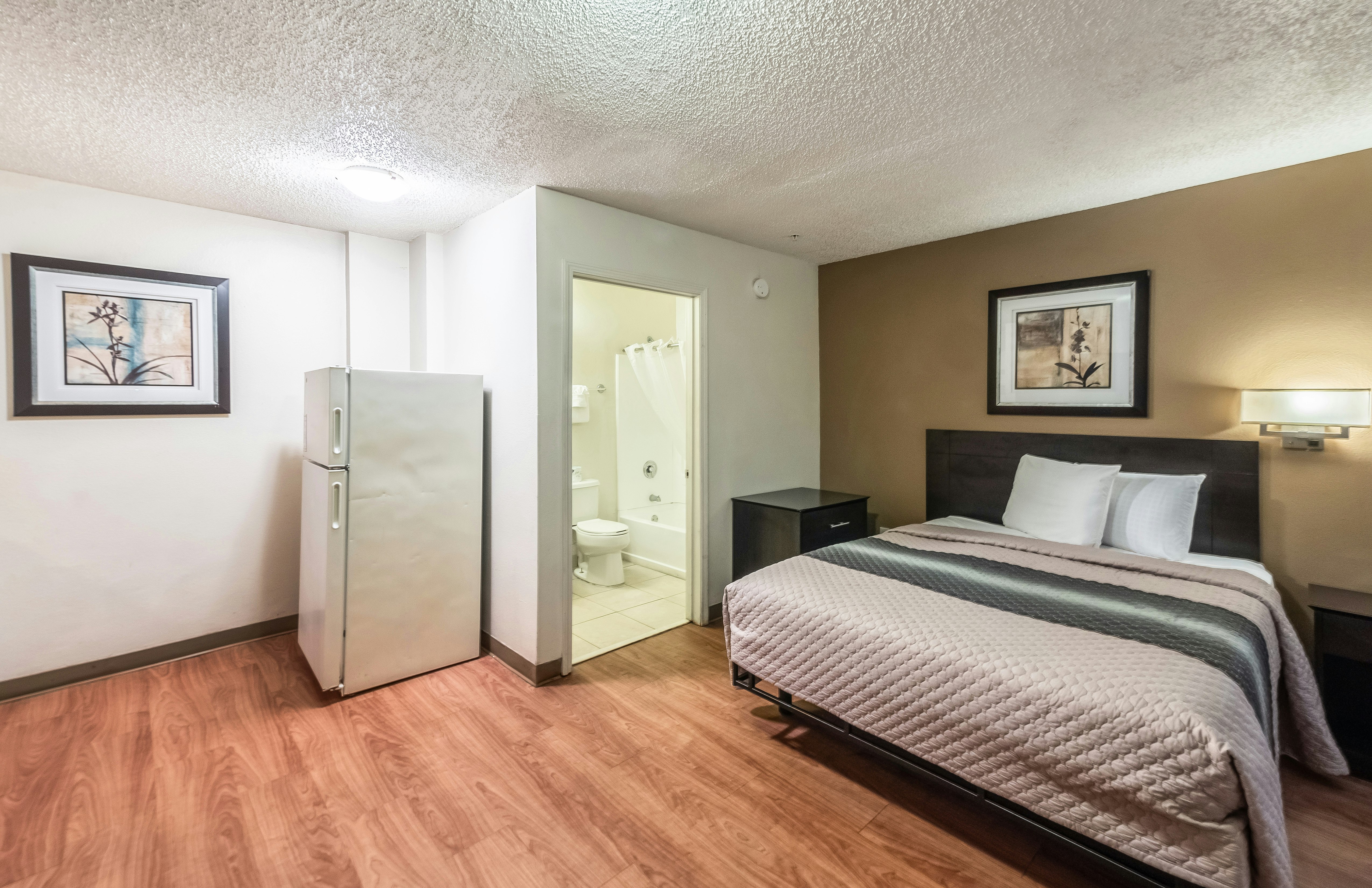 Renovated, Studio, Queen Bed