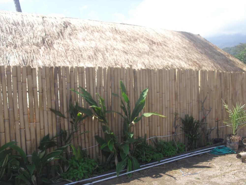 mr din rinjani trails hotel