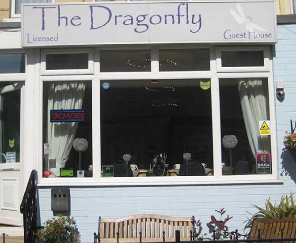 The Dragonfly 1/15