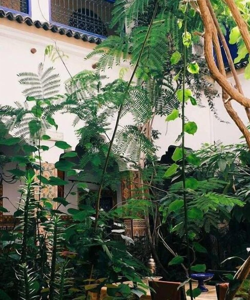 Riad Maryam 42/50