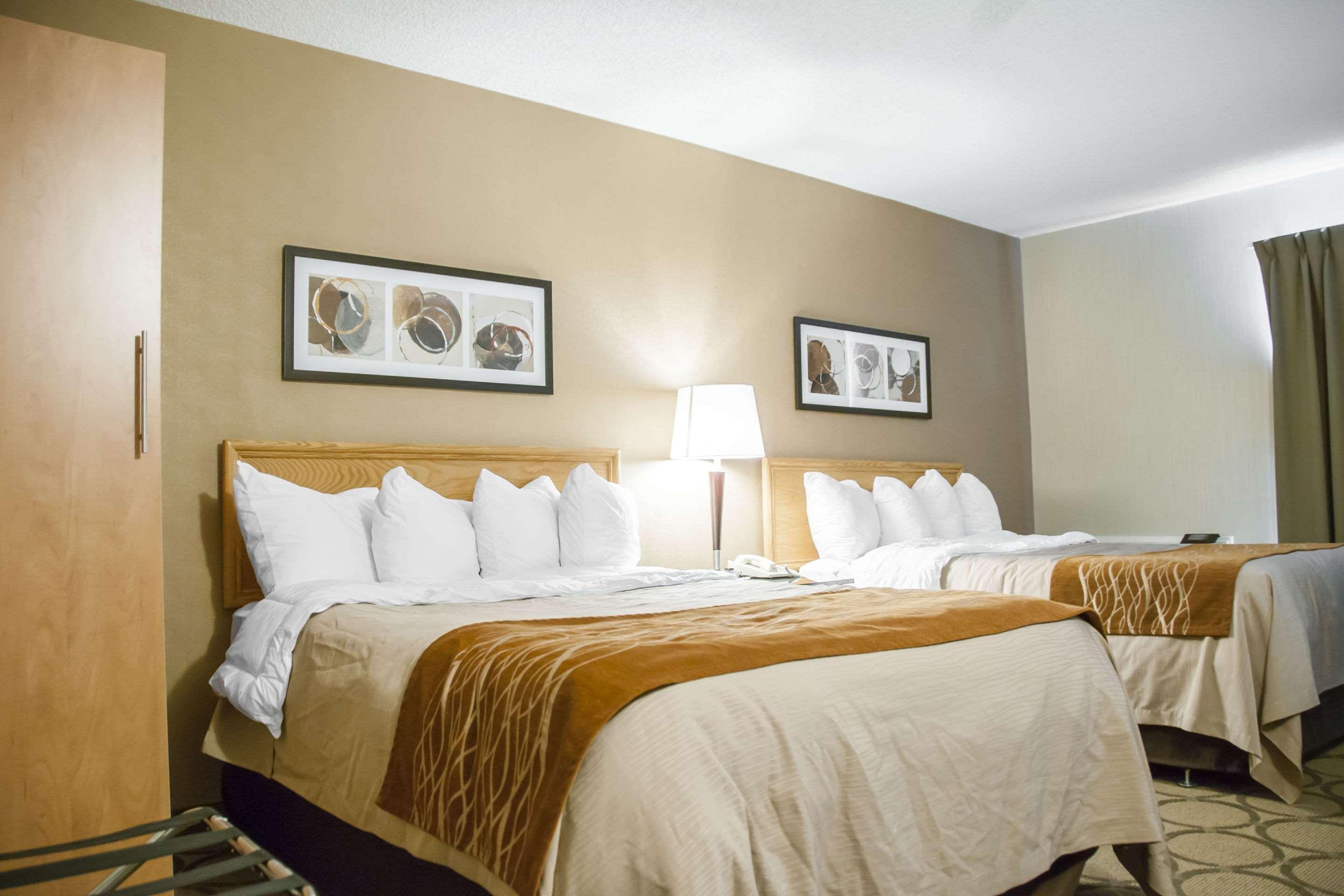 Room, Quadruple, 2 Double Beds