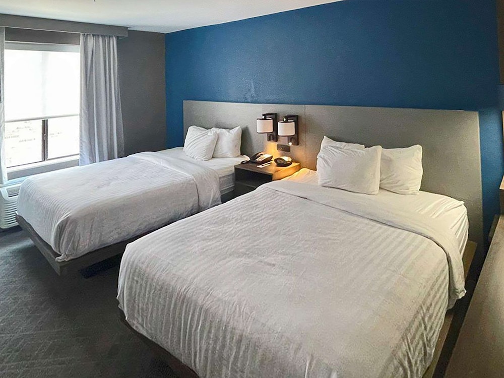 SUITE, MULTIPLE BEDS