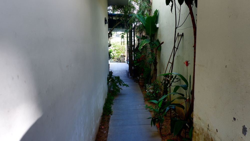 Lazy Bear Hostel 20/27