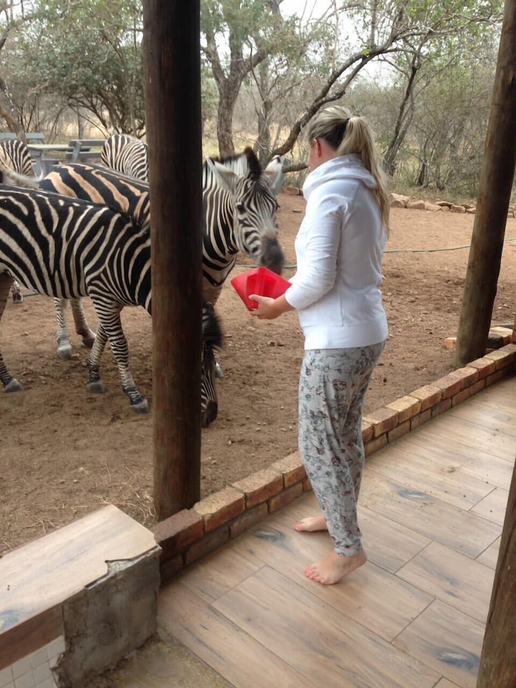 Imbube Safari Lodge 20/50