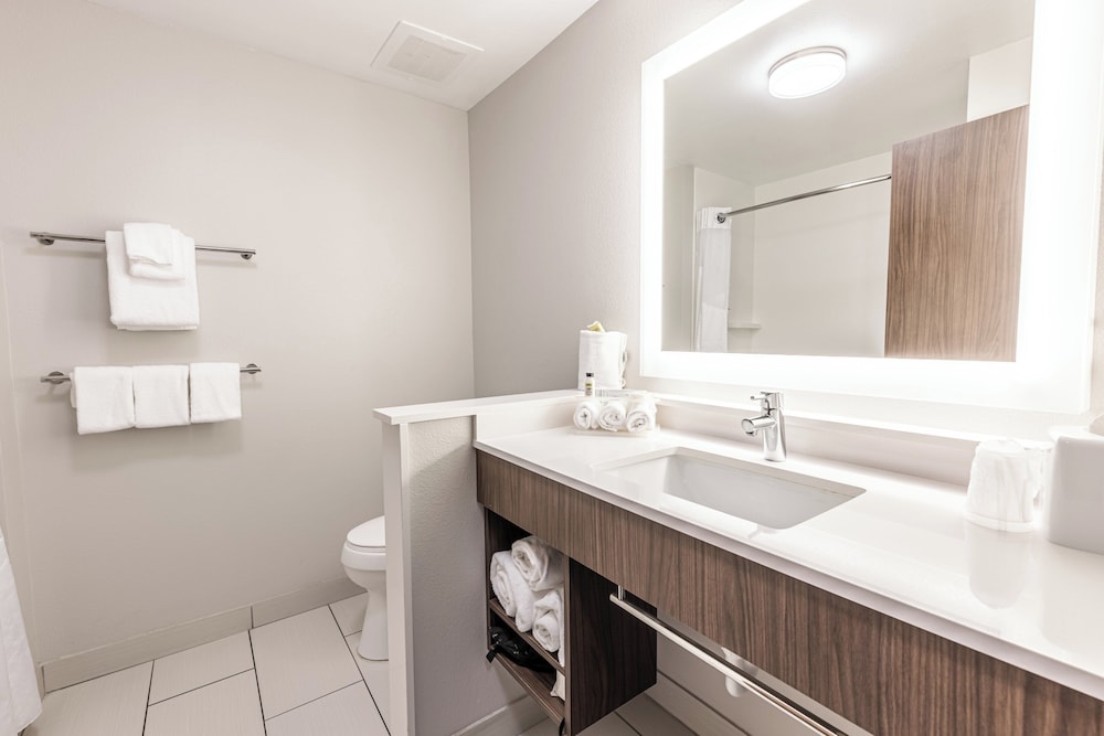 Holiday Inn Express Suites Rantoul 72/76