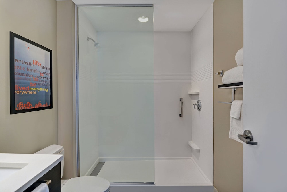 TownePlace Suites by Marriott Indianapolis Downtown 26/56