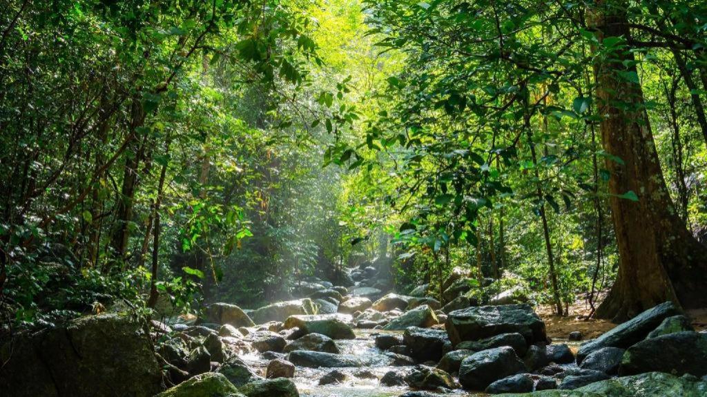 The Sixnature Resort Bangsaen 42/56