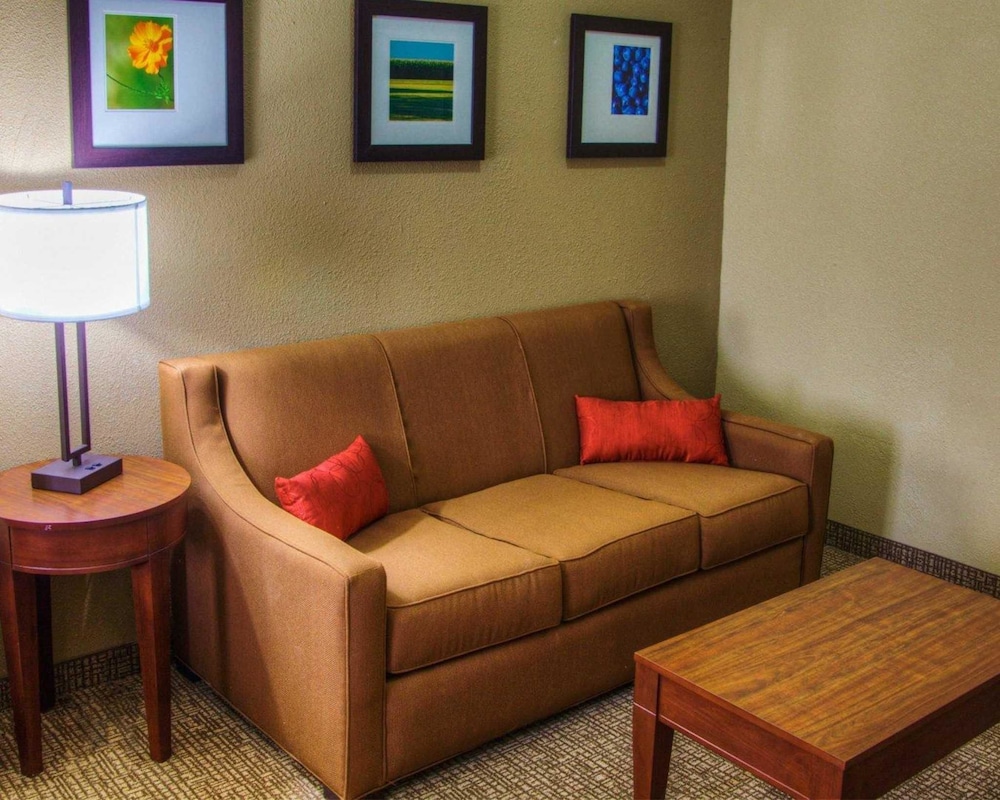 Comfort Suites Plymouth Near Us-30 19/38