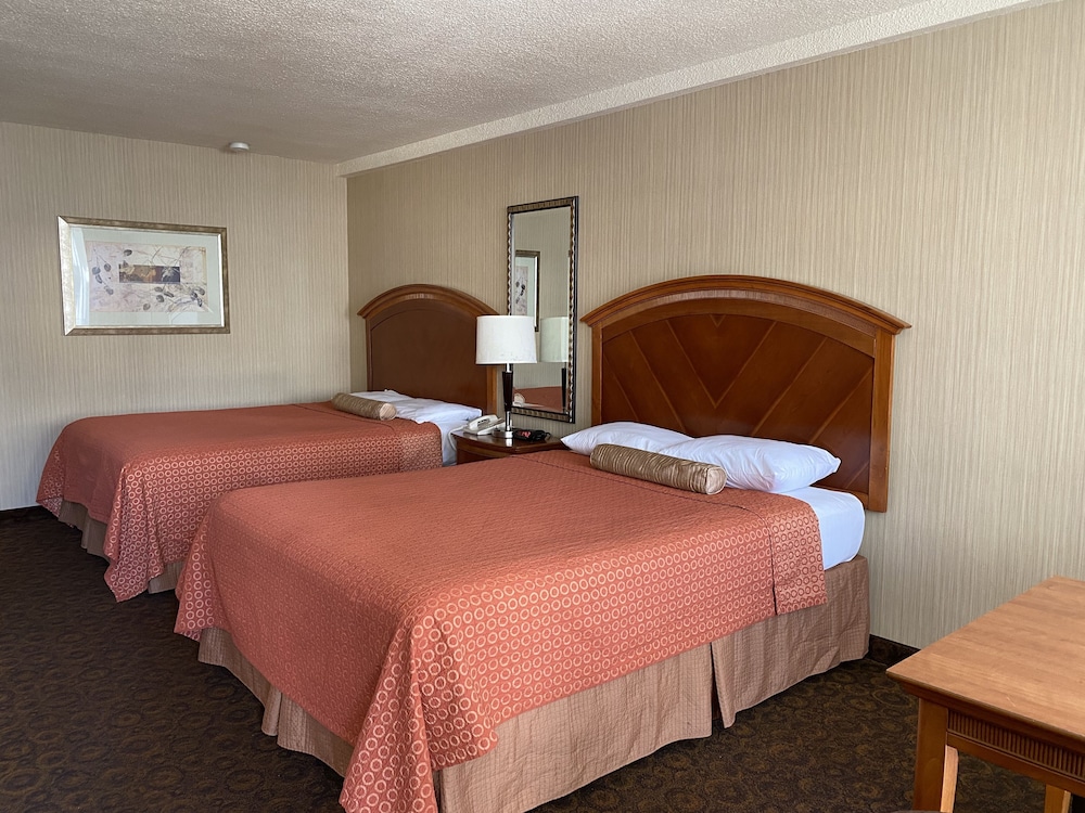 Royal Pacific Motor Inn 19/59