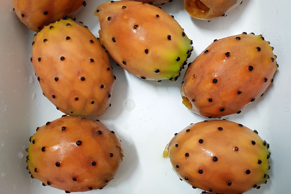 Cambiocavallo 4/30