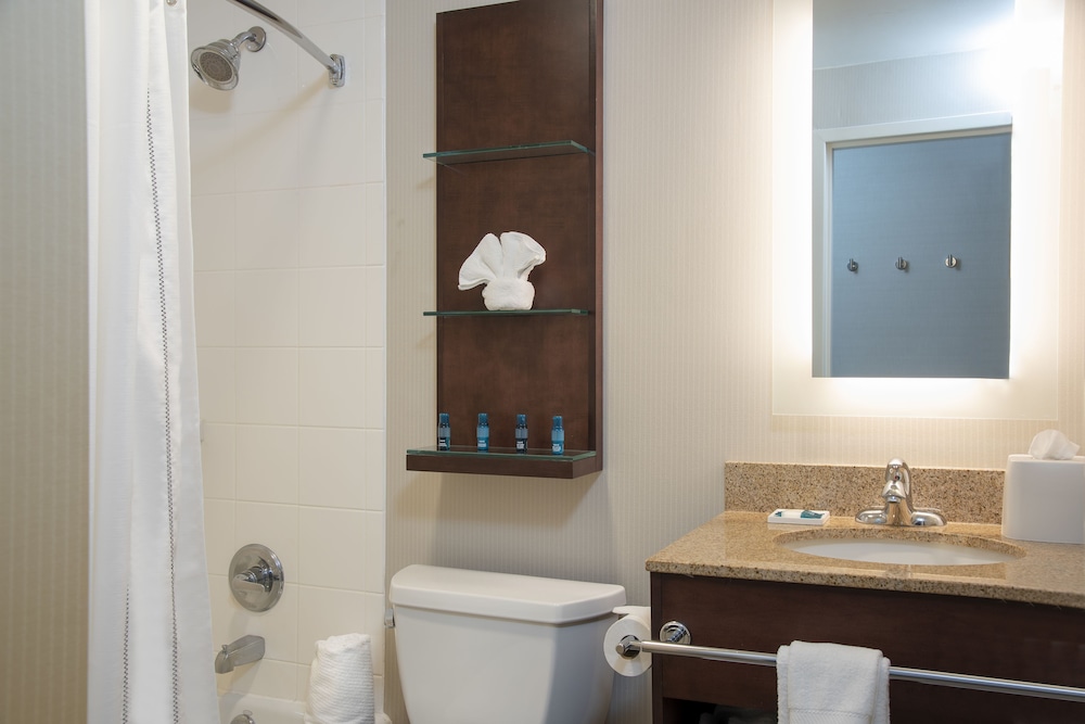 Delta Hotels By Marriott Kalamazoo Conference Center 50/50