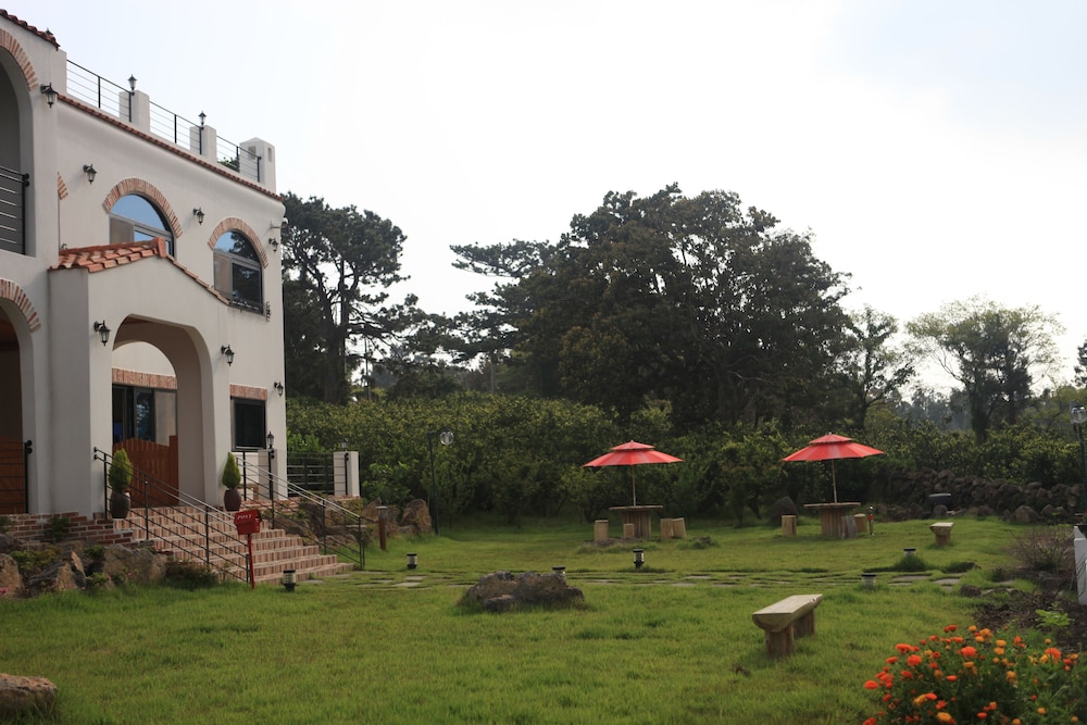 Nomad Pension In Jeju 54/62