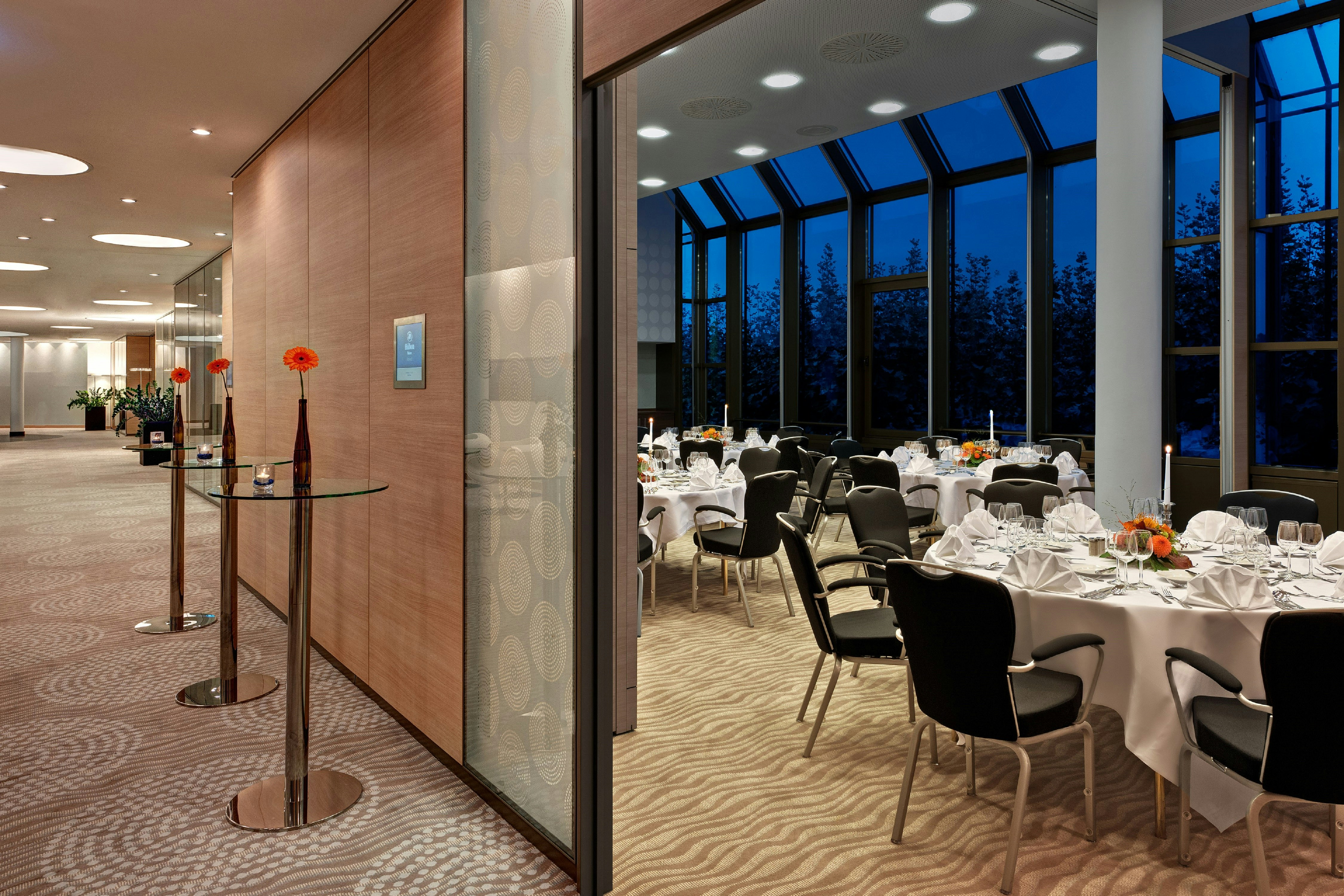 Hilton Mainz Hotel 32/53
