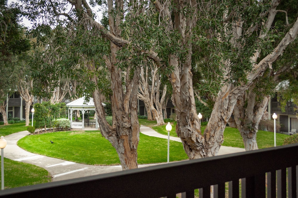 Carlsbad By the Sea Resort 11/39