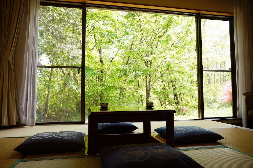 HOTEL BLANCVERT NASU 34/71