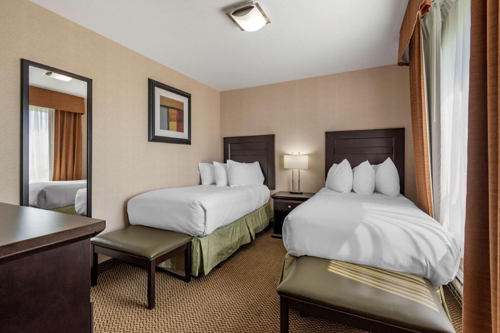 Suite, King Bed, Queen Bed, Sofa