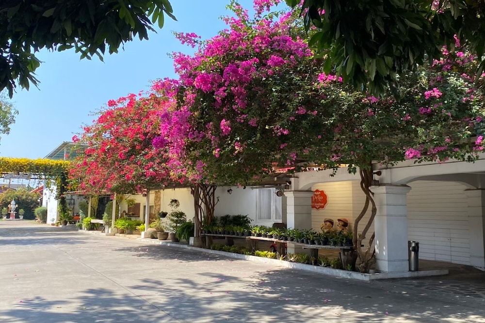 Delio Boutique Hotel 60/62