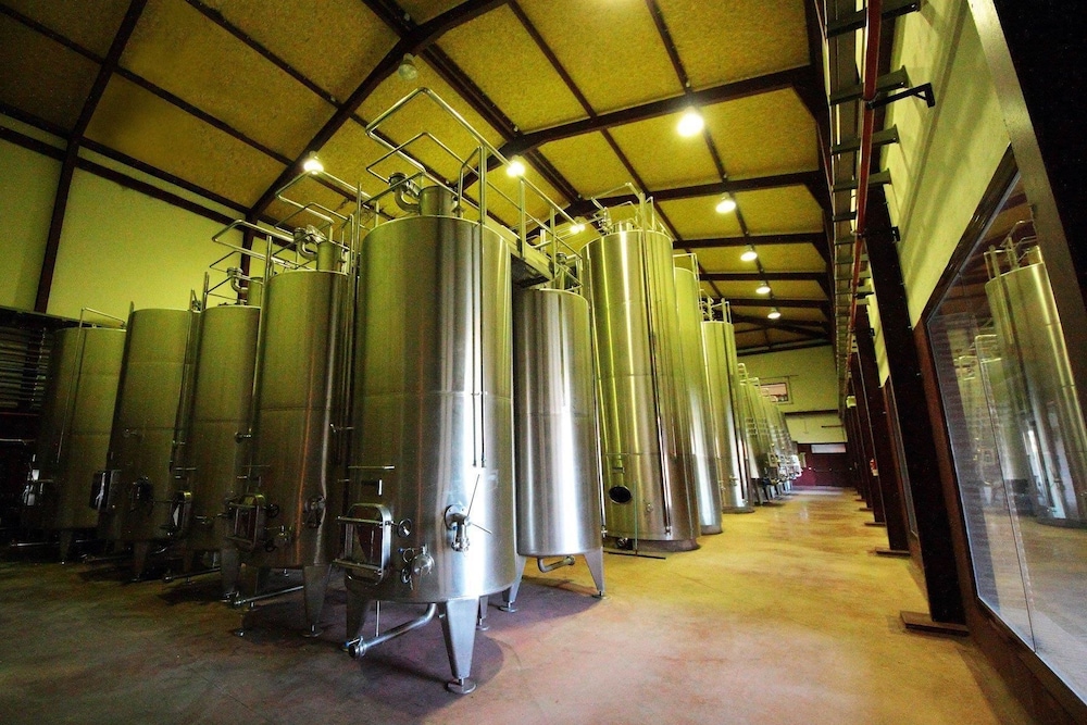 Chateau Vinasoro 20/30