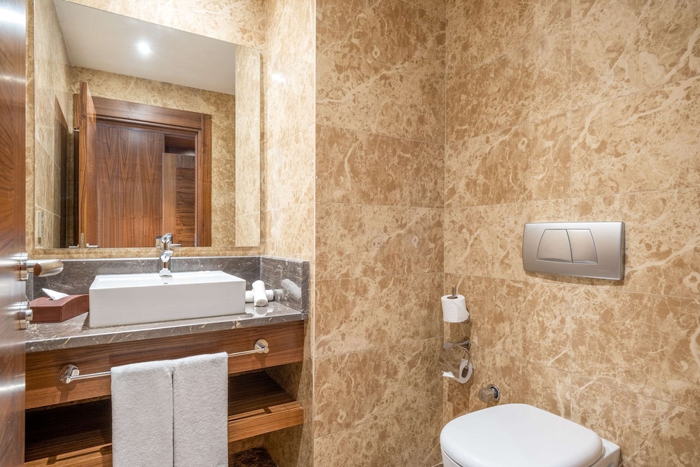 Clarion Hotel Istanbul Mahmutbey 26/60