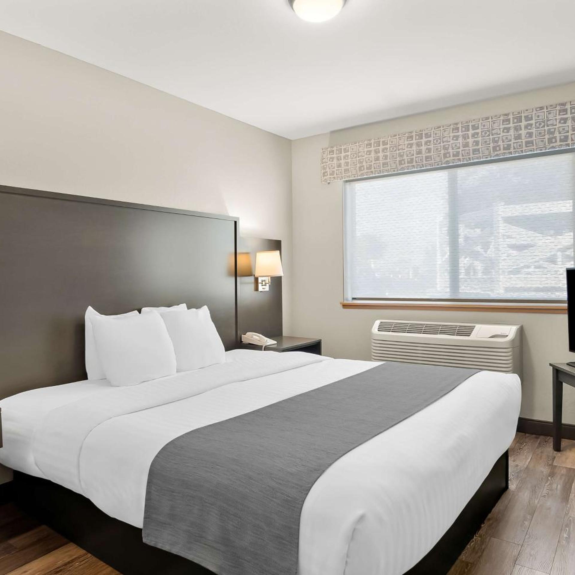 1 Bedroom, Apartment
