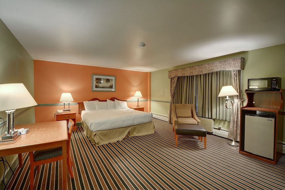 Colonial Motel And Spa 29/60