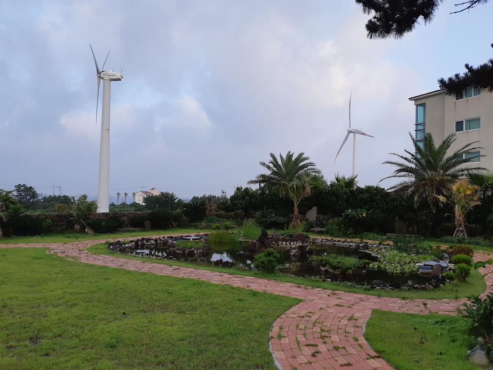 Blue Hawaii Hotel Jeju 18/24