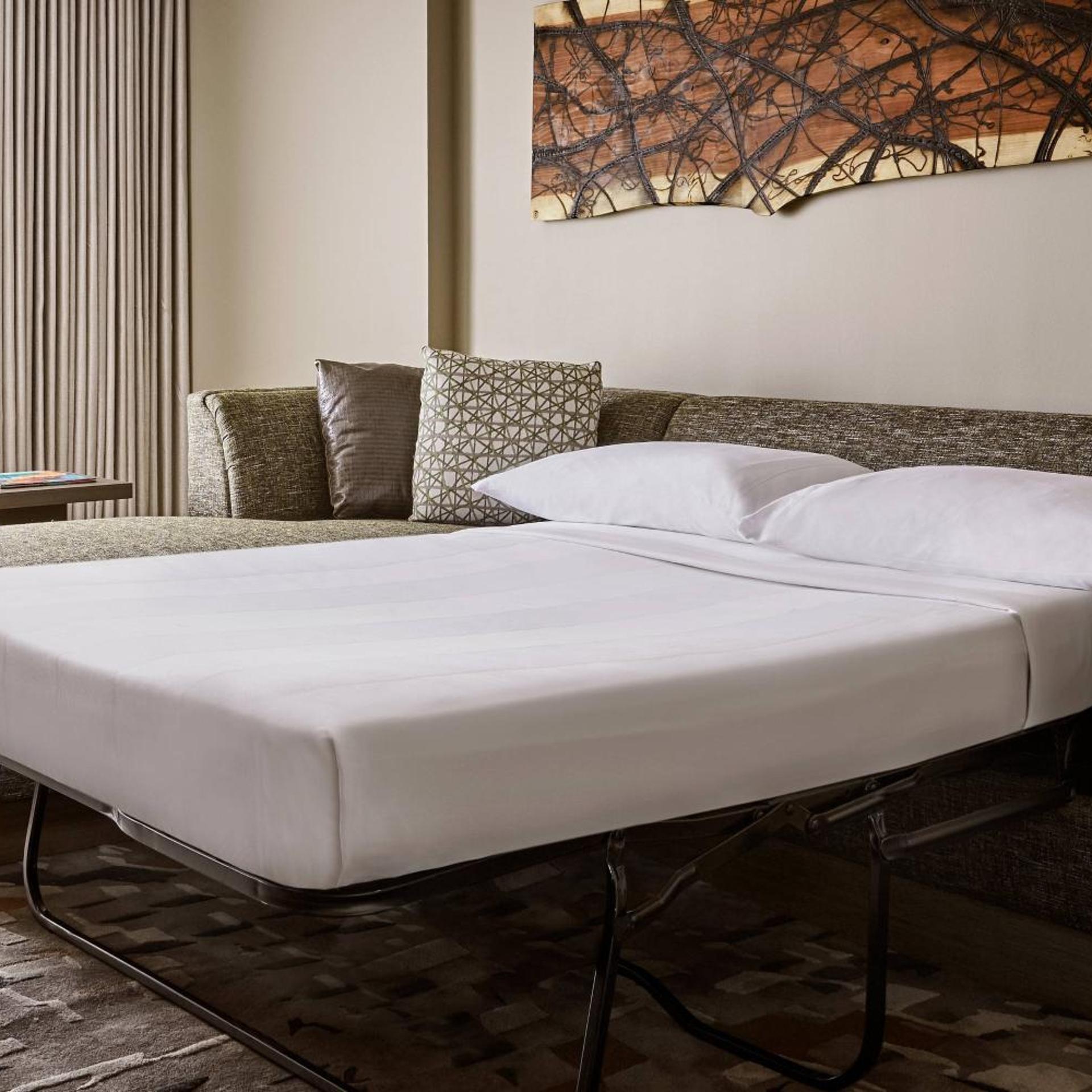 1 Bedroom, Lifestyle, Suite, King Bed
