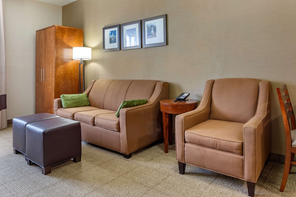 Comfort Suites Dover University Area 26/36