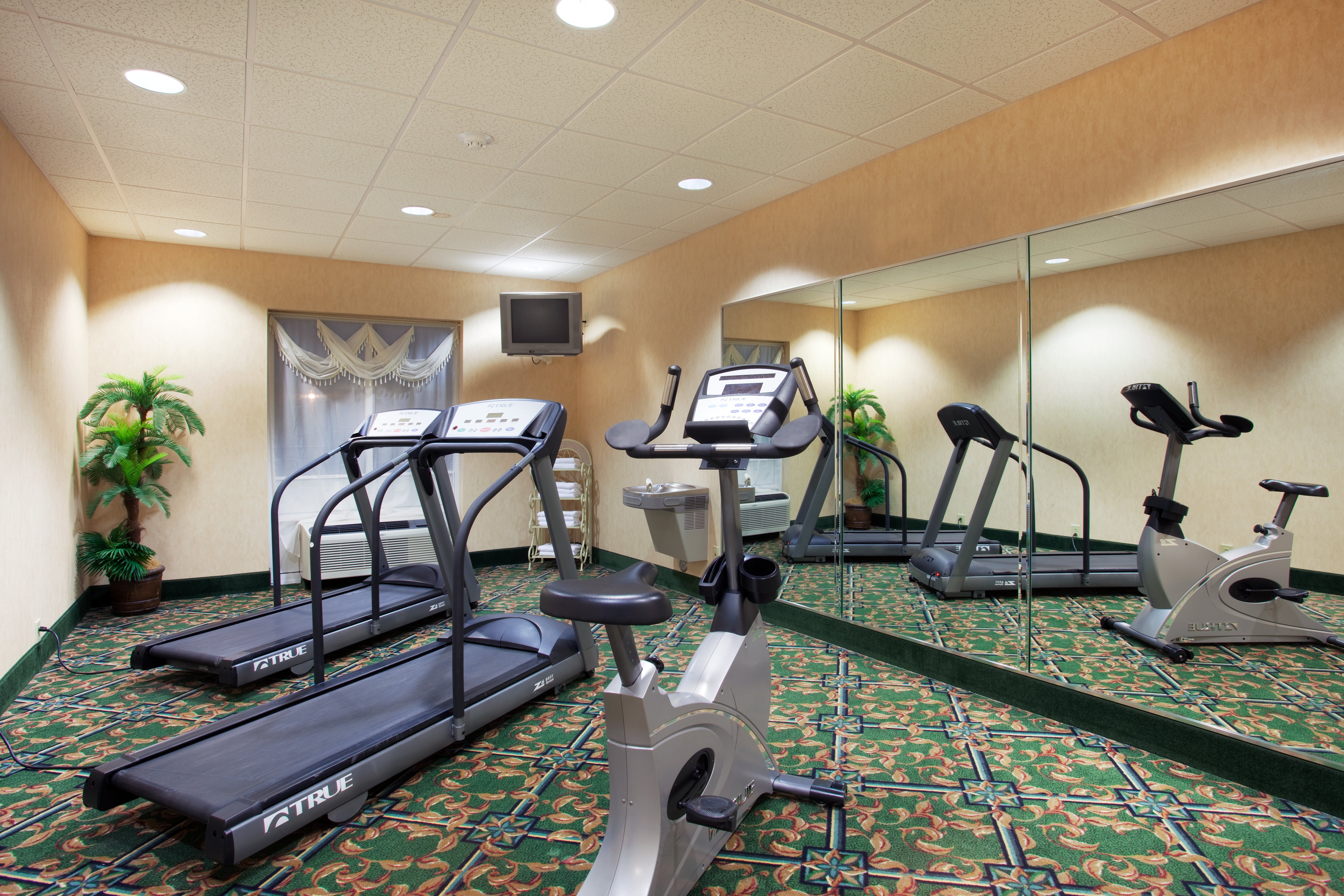 Holiday Inn Express & Suites Lenoir City (Knoxville Area) 18/25