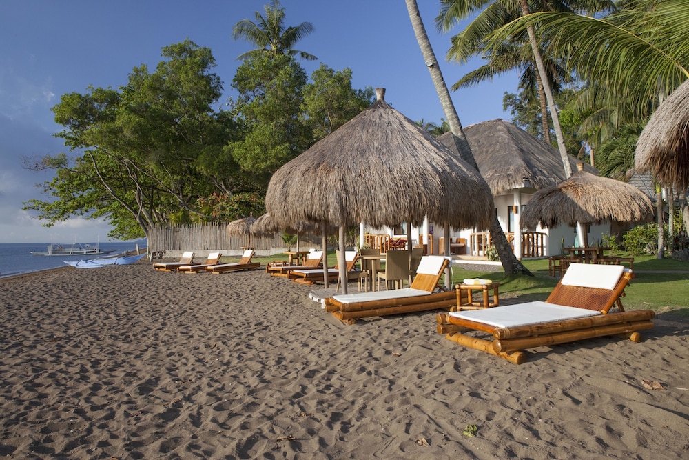 Pura Vida Beach And Dive Resort 50/61