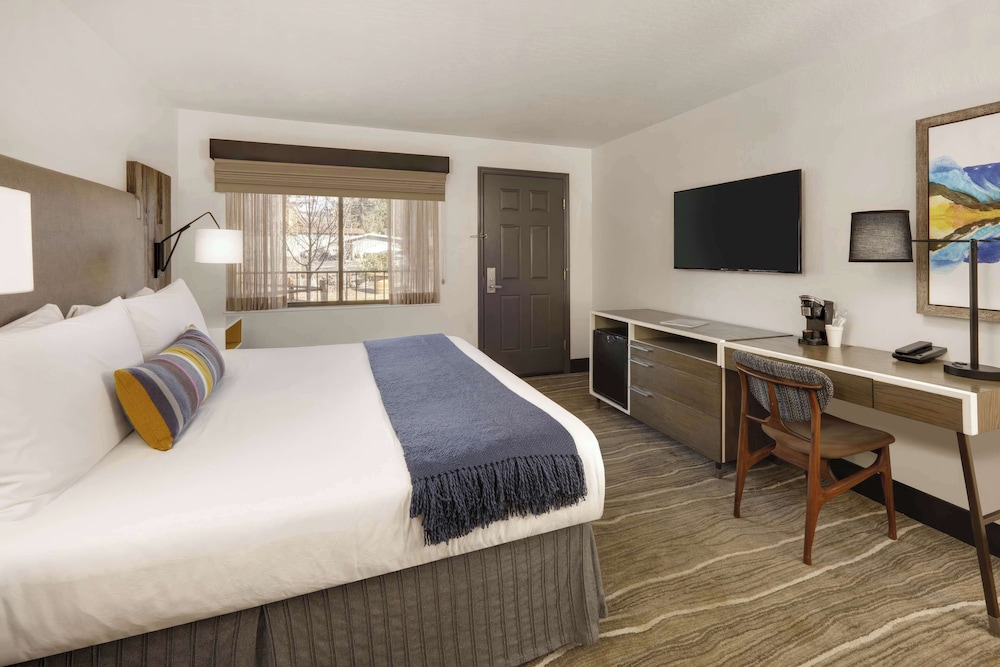 SUITE, MULTIPLE BEDS, LARGE