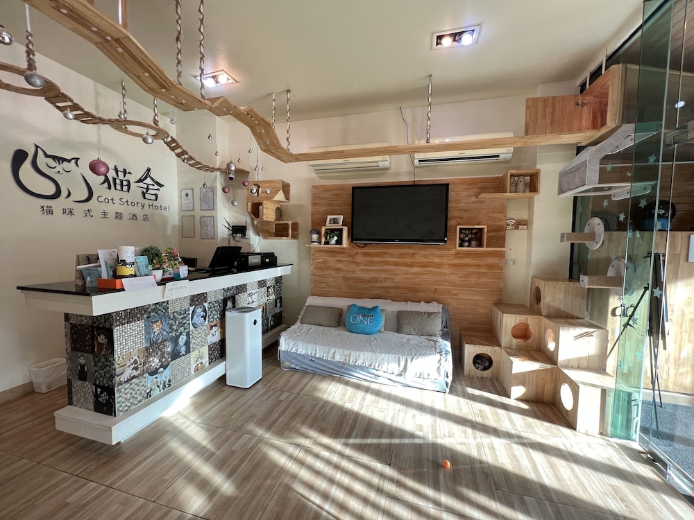Cat Story Hotel 3/34