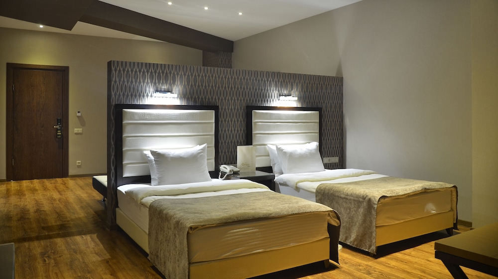 Hotel Orion Tbilisi 31/72