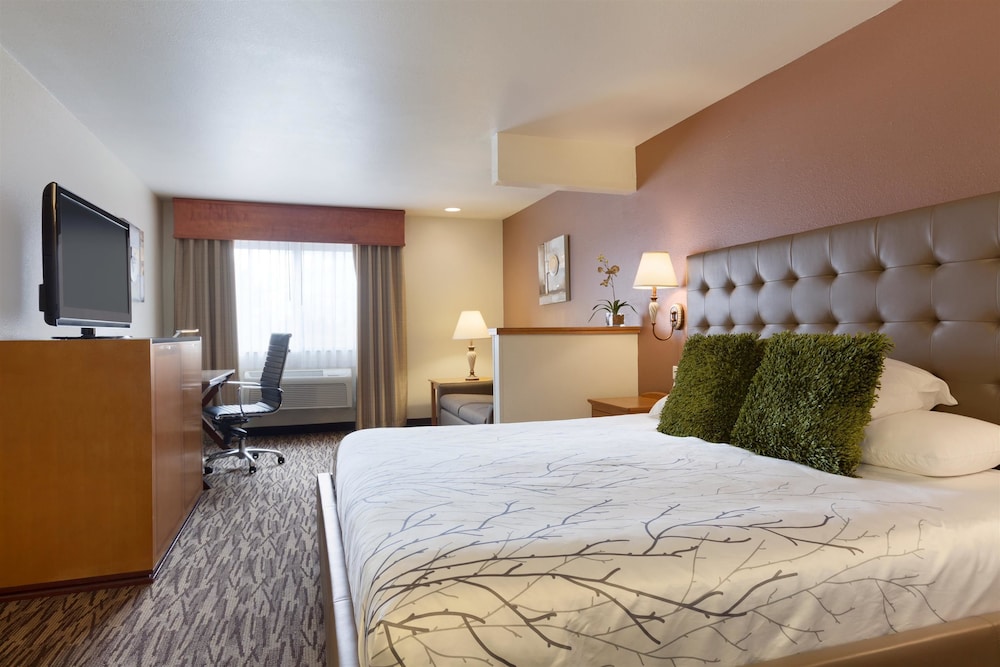 Best Western Plus Peppertree Airport Inn 20/57