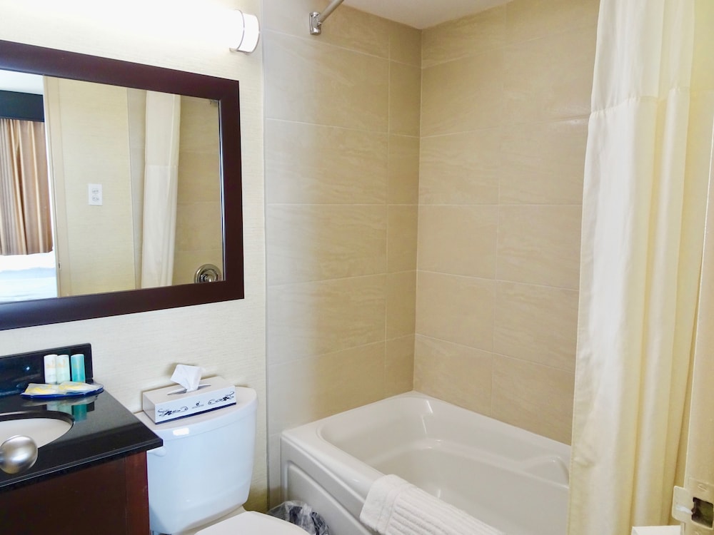 Quality Hotel Dorval Aeroport 16/59