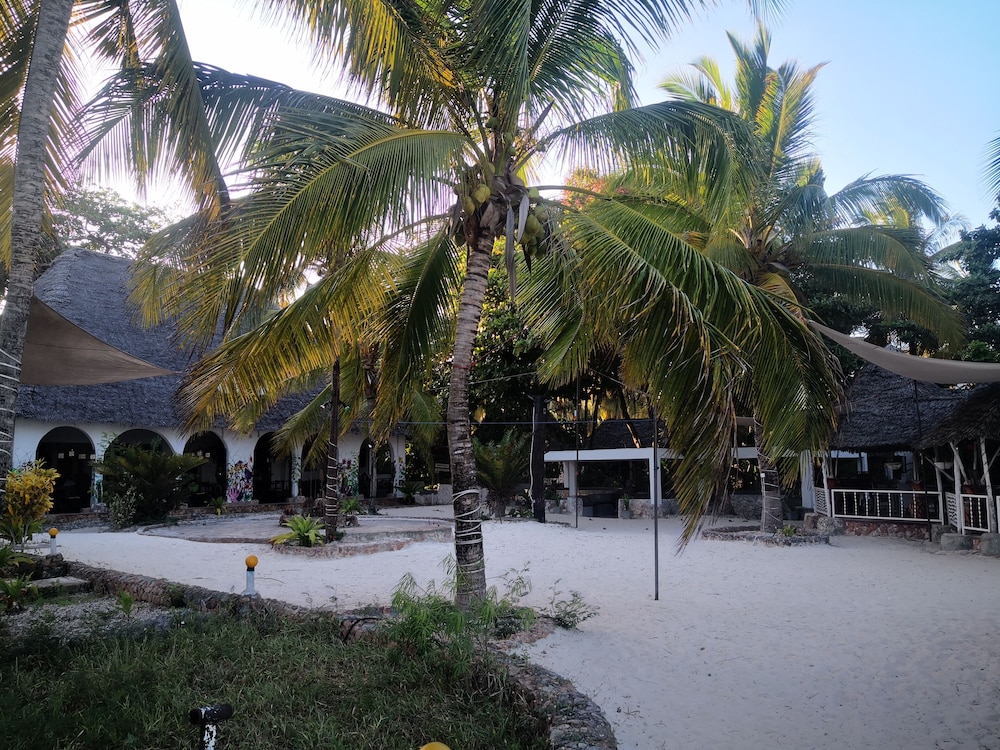 Mambo Ocean Resort 33/50