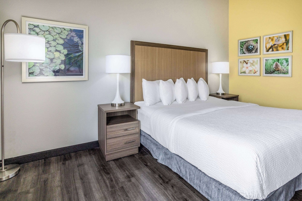La Quinta Inn and Suites by Wyndham Valdosta 9/35