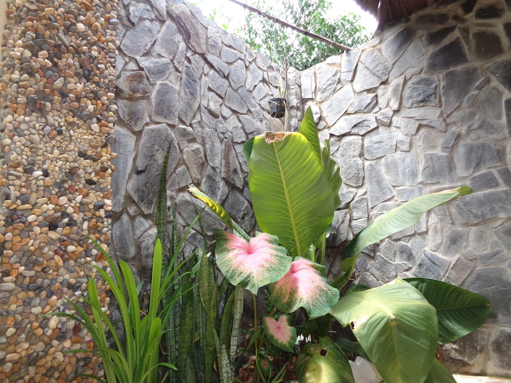 Ninila Fruit Farm Bungalow 23/38