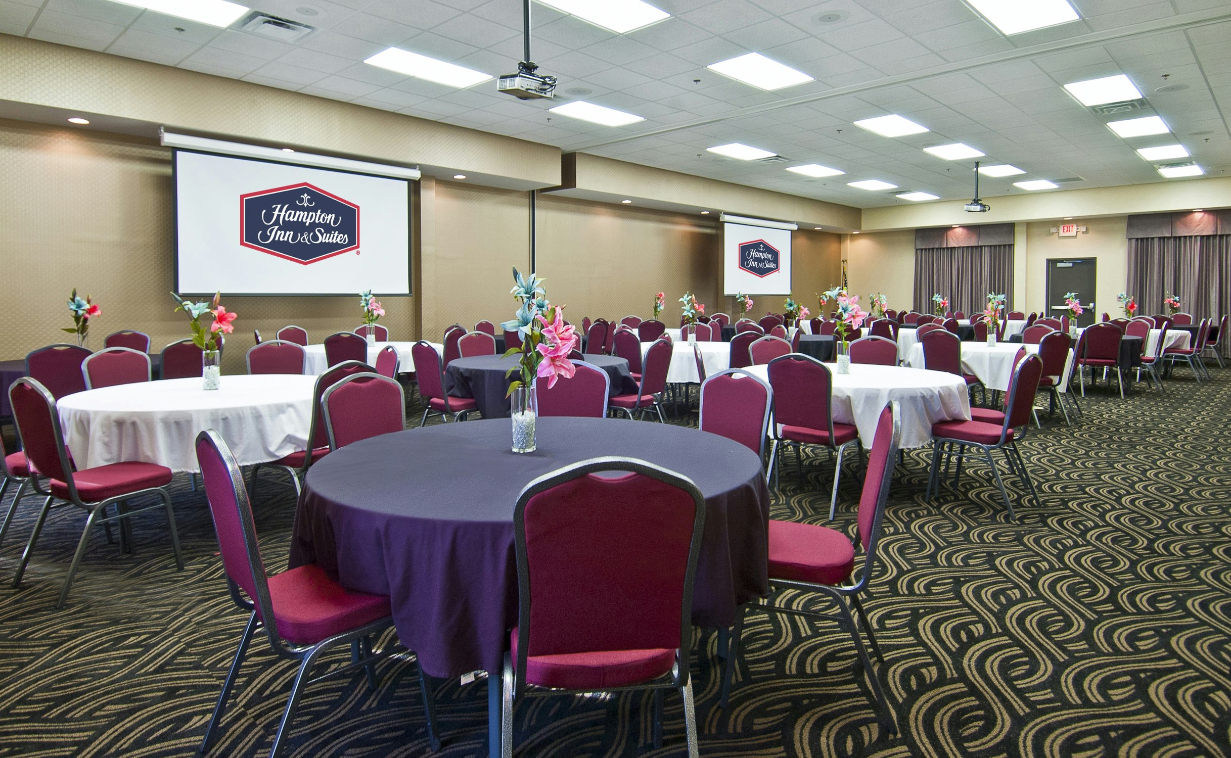 Hampton Inn & Suites Millington 55/59