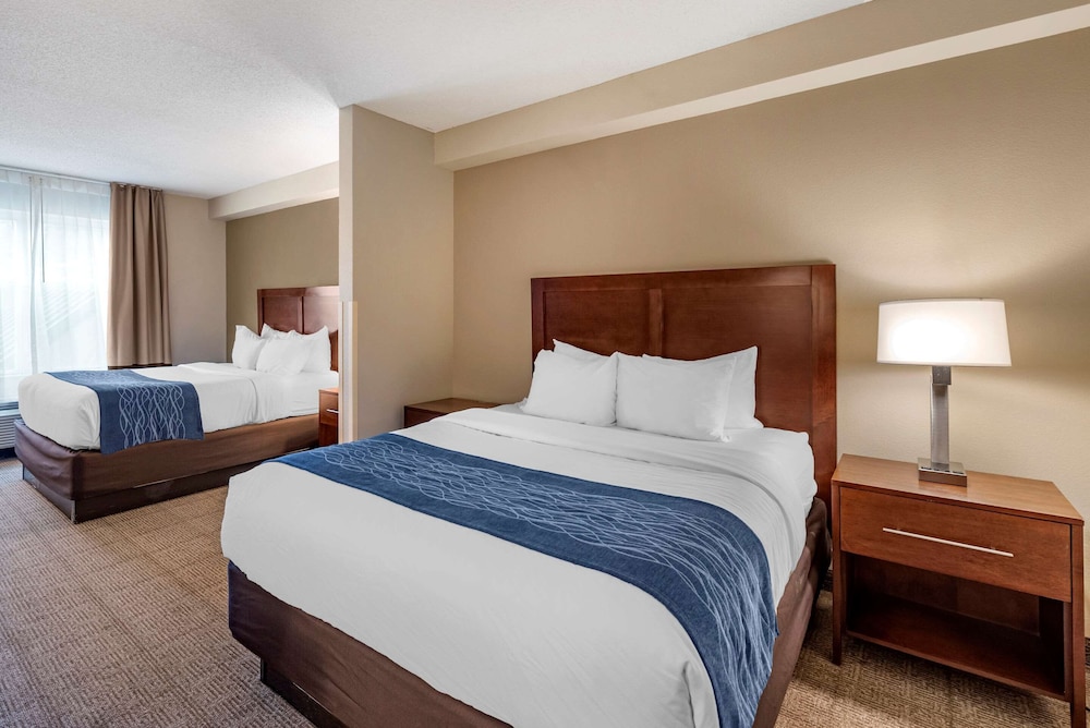 STANDARD, 2 QUEEN BEDS
