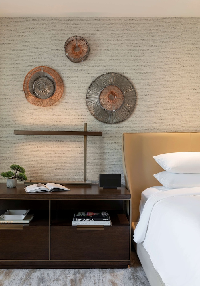 Park Hyatt Chicago 43/91