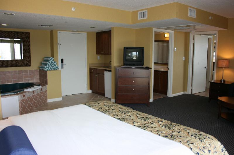 1 Bedroom, Suite, Apartment