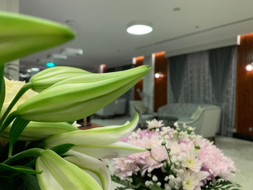 فندق تريبر ان(Tripper inn Hotel) 36/37